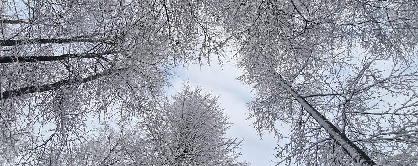 Bildergalerie Startseite