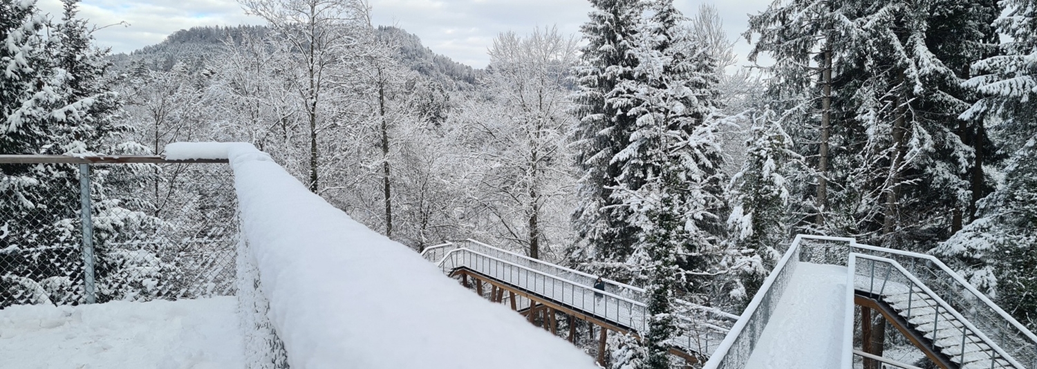 Bildergalerie Startseite