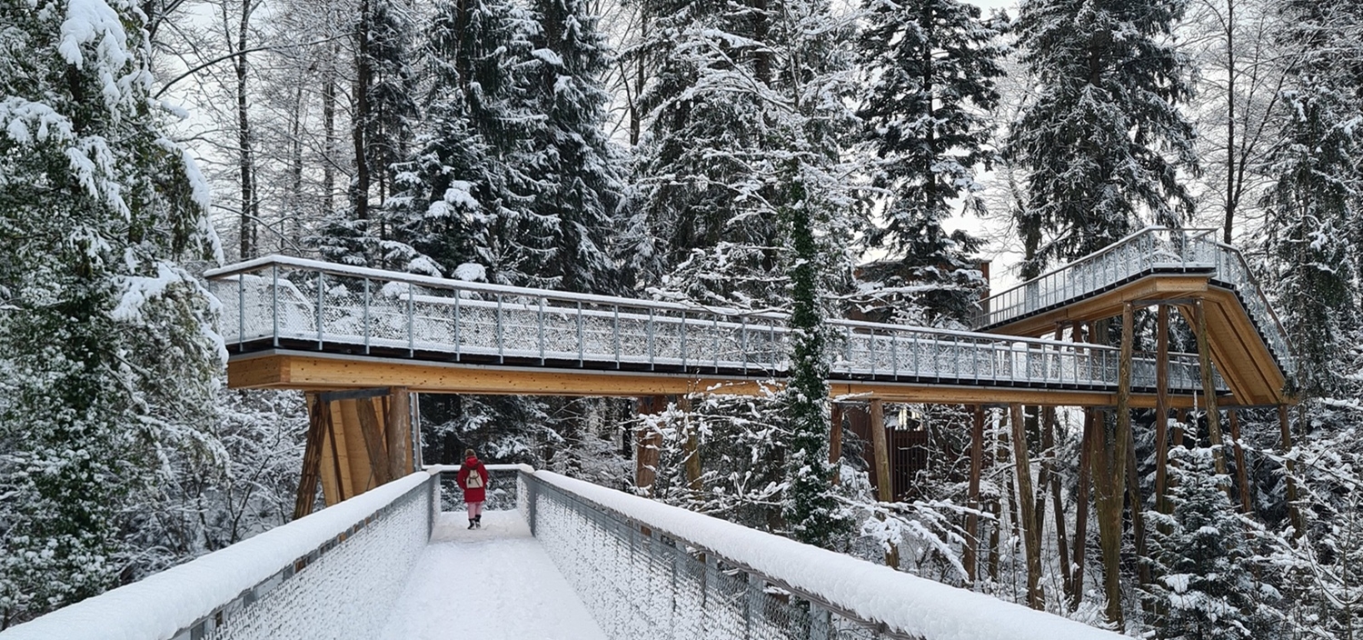 Bildergalerie Startseite