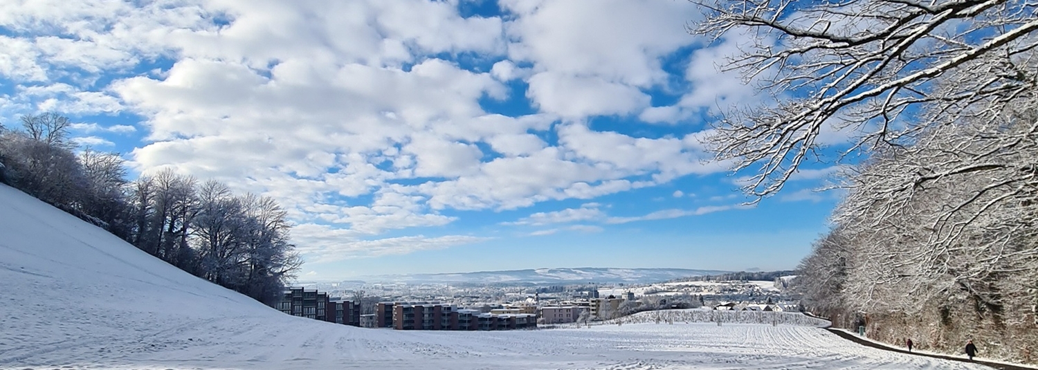 Bildergalerie Startseite